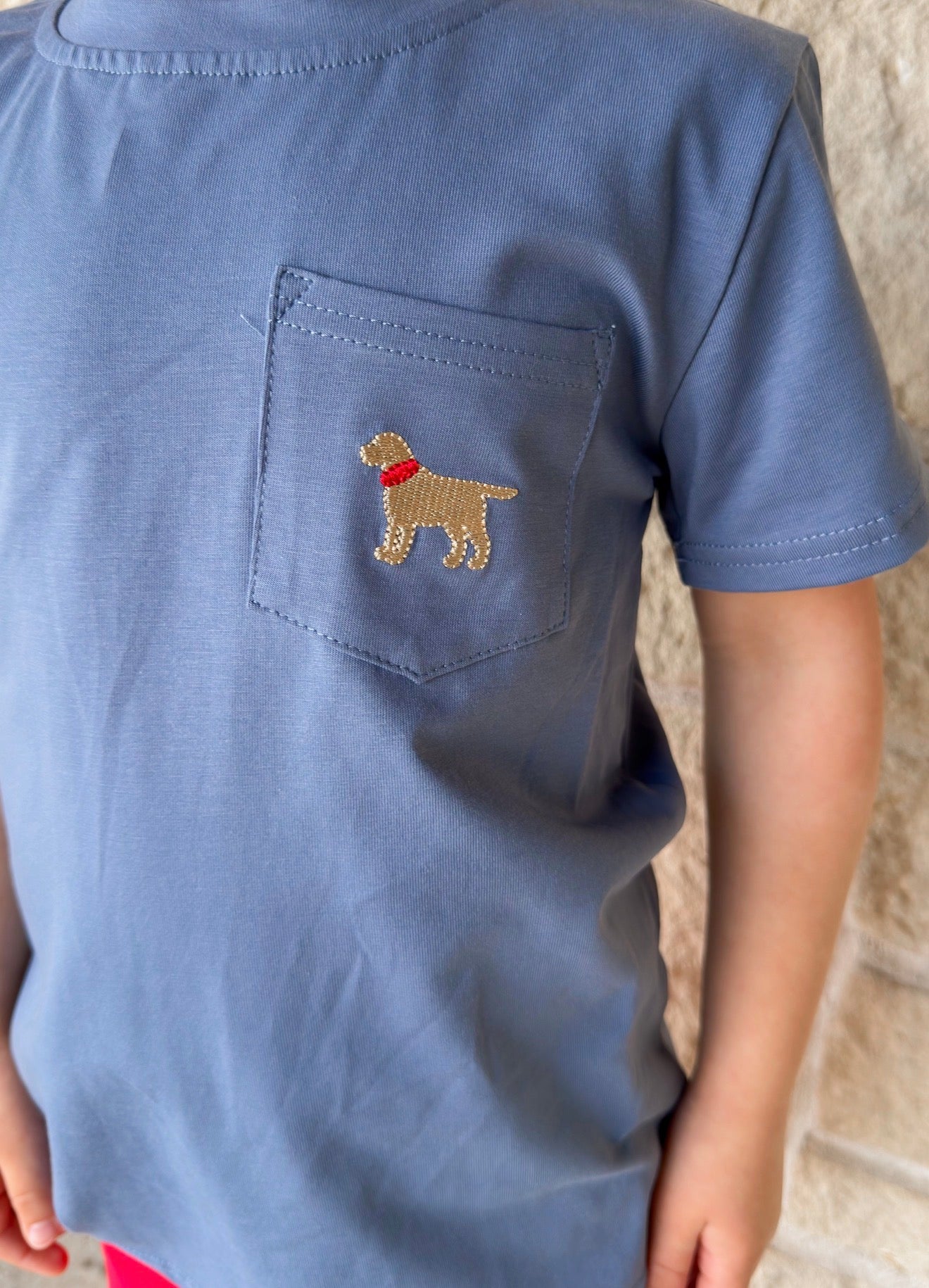 Itsy Bitsy Pocket Dog Set