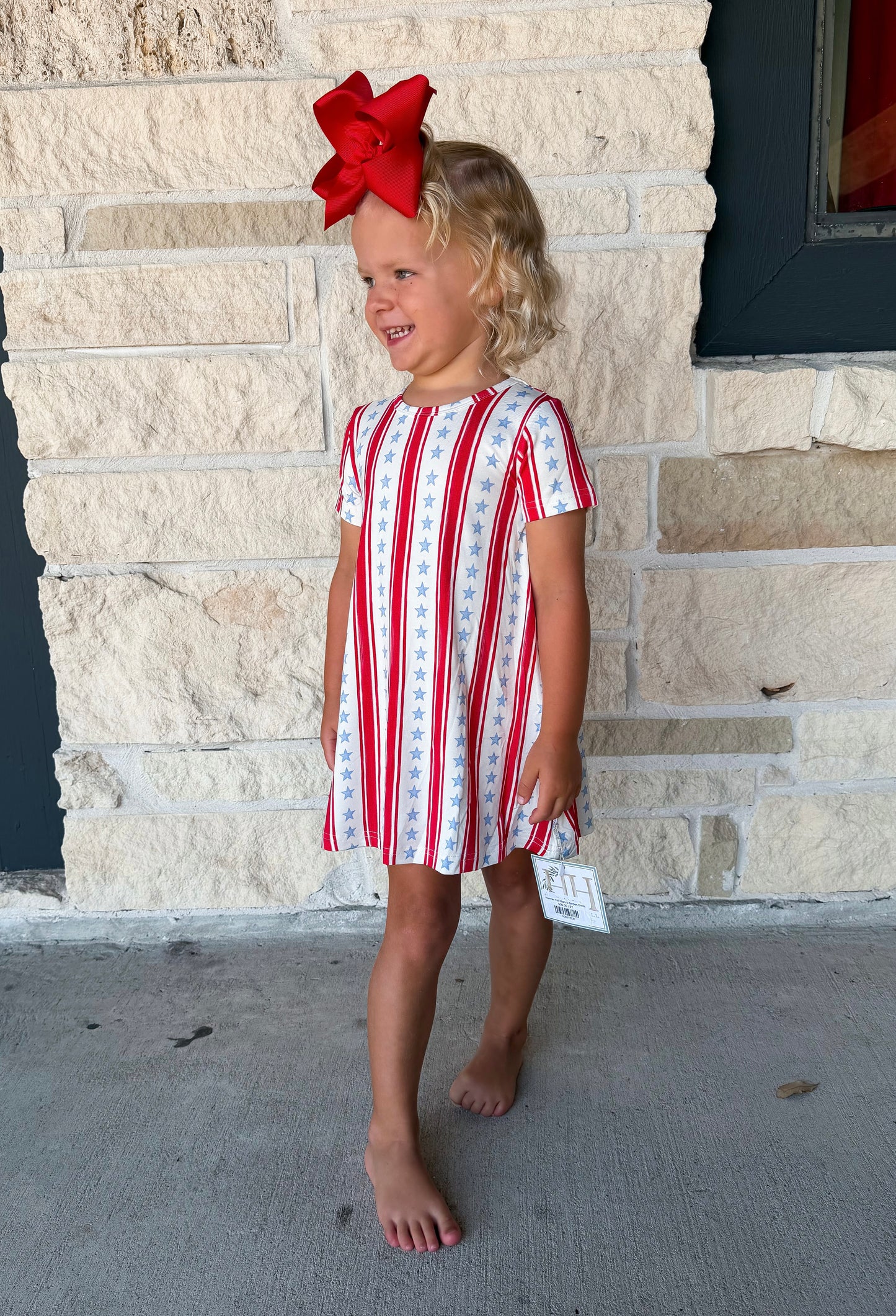 Hamner Hill Stars & Stripes Dress