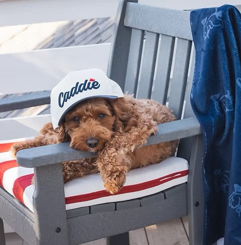 Caddie Ivory + Navy Hat