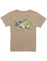 Properly Tied Bluegill SS Tee