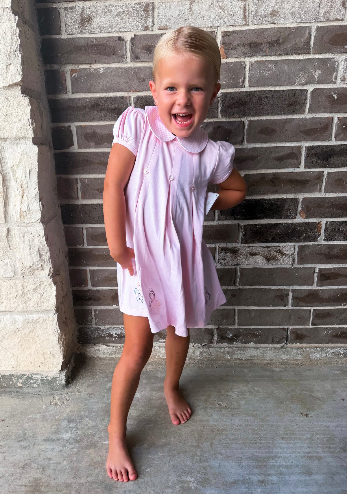 Baby Loren Pink Royal + Charm Dress
