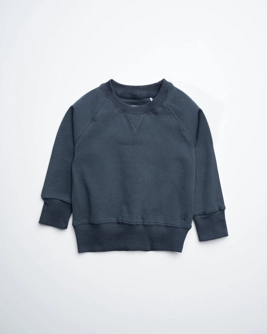 Little Bipsy Blue Raglan Crewneck