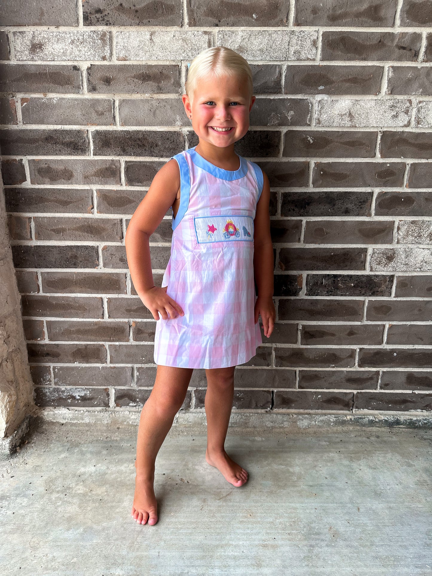Smocked Flamingo Smocked Princess Carriage Dress