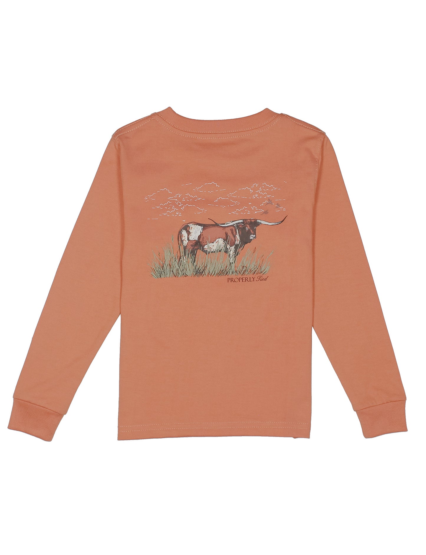 Properly Tied Longhorn LS Tee