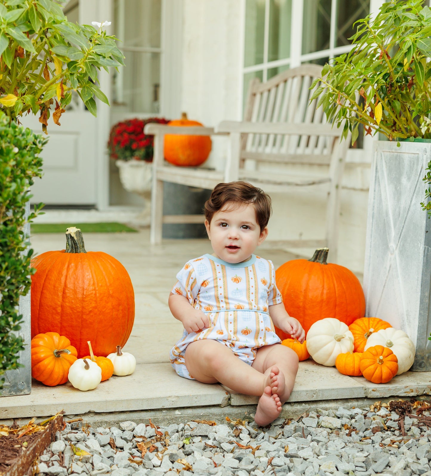 Trotter Street Pumpkin Patch Bubble