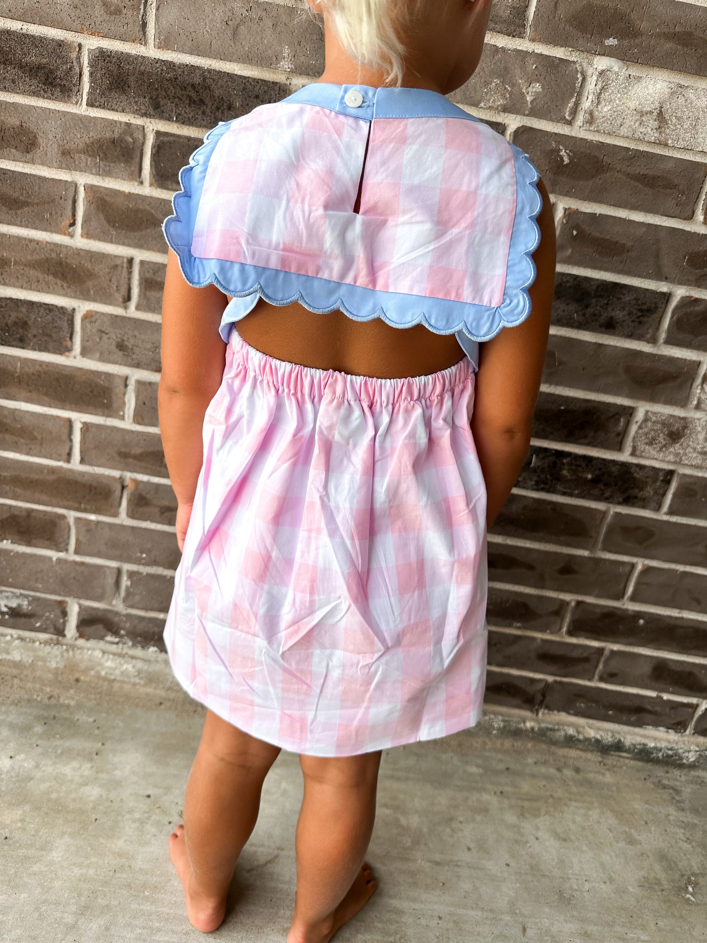Smocked Flamingo Smocked Princess Carriage Dress