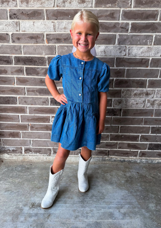 Hollis Baker Denim Dress