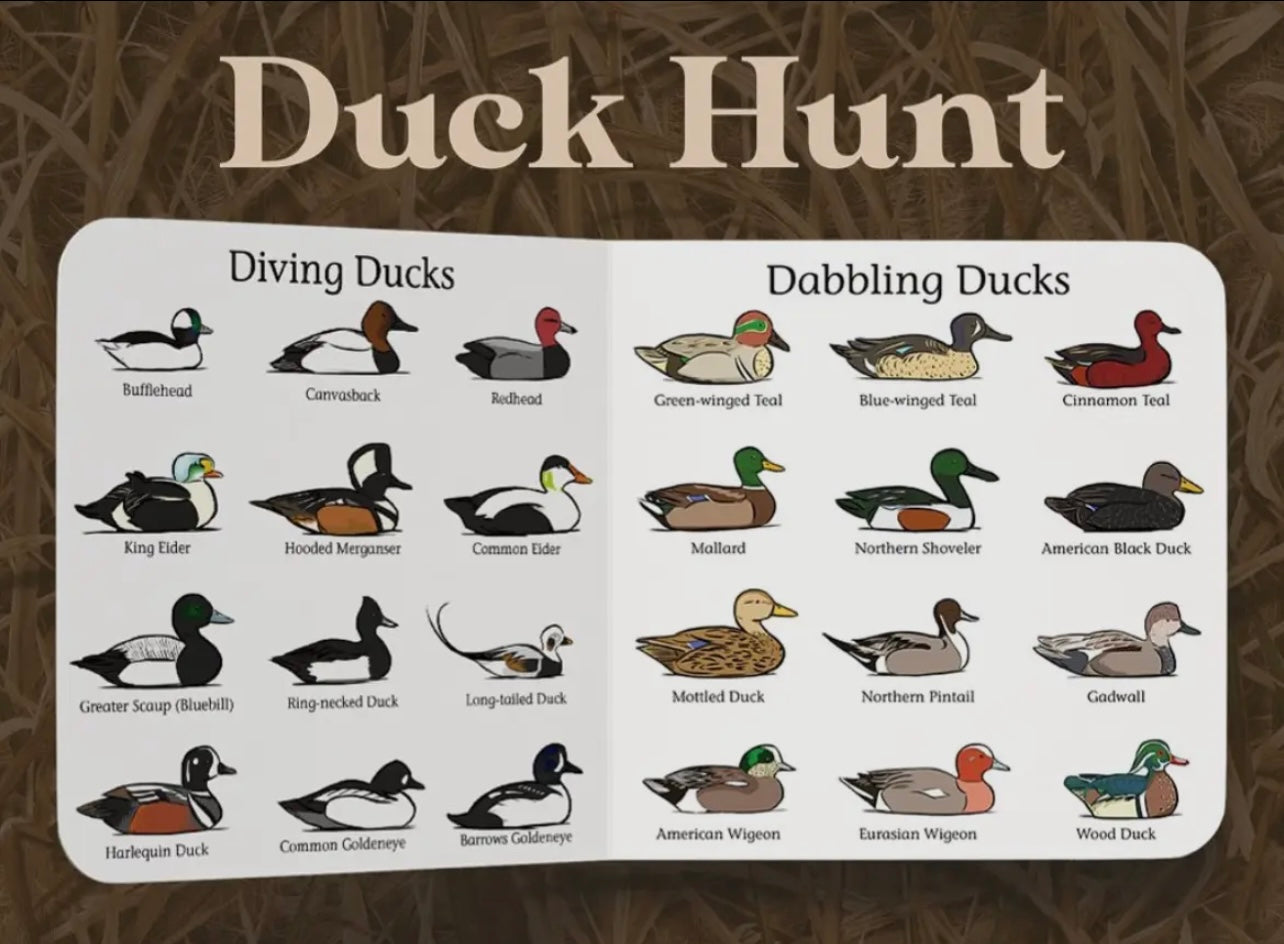 Duck Hunt Book