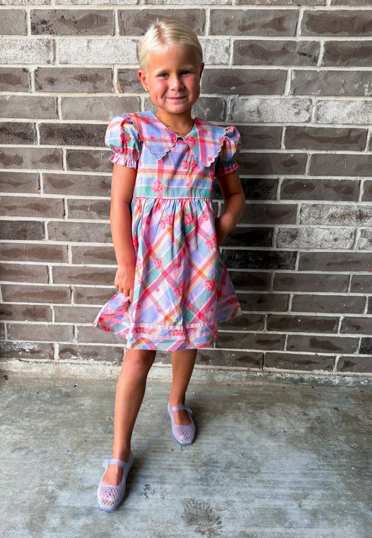 Hollis Baker Rosette Plaid Floral Dress