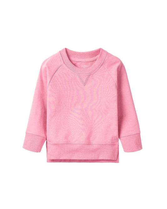 Little Bipsy Rose Pullover