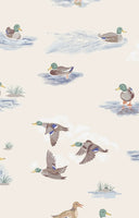 Angel Dear Migrating Mallards Playsuit